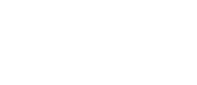 paragonconsulting logo